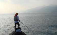 海水矶钓用什么饵
