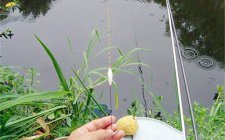 钓翘嘴调漂的正确方法