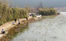 什么天气适合钓鱼