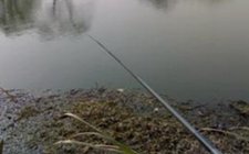陌生钓场钓鱼注意事项