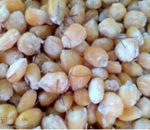 自制鲤鱼鳊鱼特效饵料_WWW.YUJUCEPING.COM