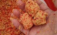 冬天钓鱼开饵诀窍