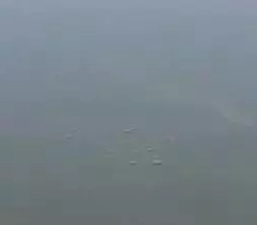钓鱼续窝和补窝的技巧_WWW.YUJUCEPING.COM