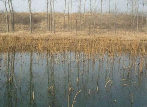 冬天钓草鱼不开口怎么办_WWW.YUJUCEPING.COM