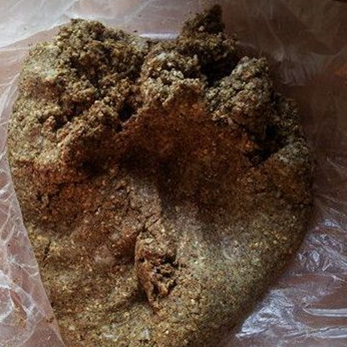 冬天水库钓鲤鱼饵料_WWW.YUJUCEPING.COM