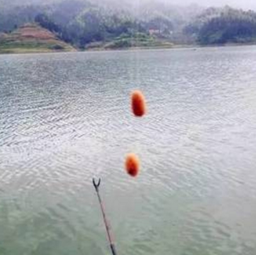 小鱼闹漂的应对办法_WWW.YUJUCEPING.COM