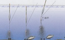 夏天野钓调4目怎样调漂
