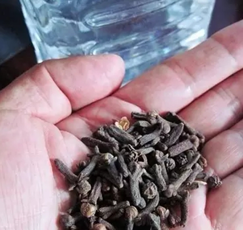 专攻鲫鱼的丁香酒米拌麦麸饵_WWW.YUJUCEPING.COM