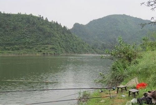 冬天钓鱼鲢鱼的关键技巧_WWW.YUJUCEPING.COM