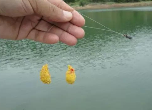 冬天传统走钓鲫鱼的经验_WWW.YUJUCEPING.COM