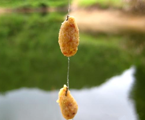 子线摆幅就能双钩上鱼_WWW.YUJUCEPING.COM