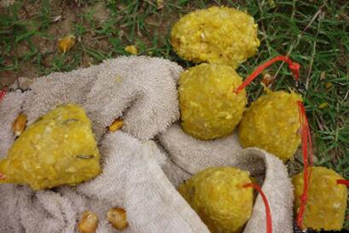 冬天钓鲶鱼的技巧_WWW.YUJUCEPING.COM