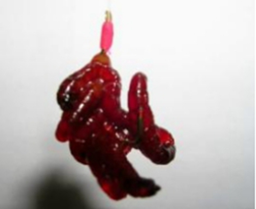 严寒冬日串钩钓鱼鲫鱼必须注意的细节_WWW.YUJUCEPING.COM