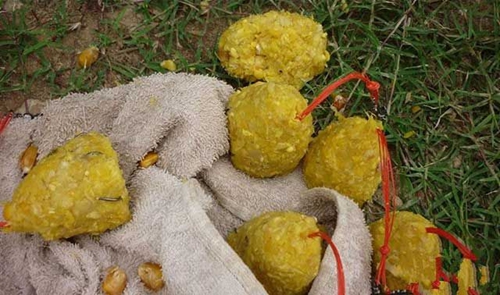 配制钓大鱼的玉米蜂蜜饵料_WWW.YUJUCEPING.COM