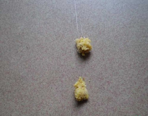 饵料状态的控制和开饵方法_WWW.YUJUCEPING.COM