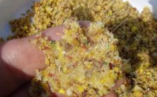 谈冬天钓鲫鱼饵料搭配技巧