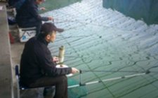 北方大棚钓鱼经验