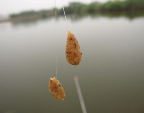 饵料溶散性的正确理解_WWW.YUJUCEPING.COM