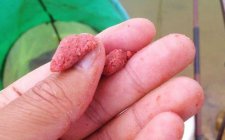 搓饵拉饵结合的钓鱼方法