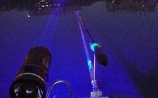 怎么选择夜钓灯的灯源 什么颜色好