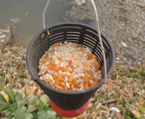 新手冬天钓鱼的三个注意事项_WWW.YUJUCEPING.COM