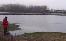 冬天传统定点钓的注意事项