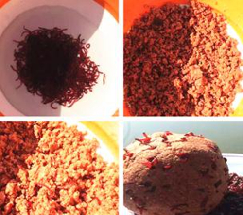 冬天钓鱼钓位线组饵料的选择和搭配_WWW.YUJUCEPING.COM