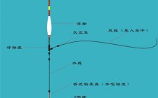 大小跑铅钓法介绍