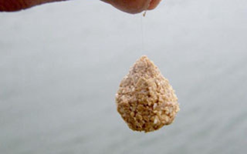 包食钓鲫鱼经验分享_WWW.YUJUCEPING.COM