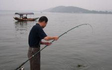 空钩钓法钓鱼窝料的使用