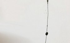 流水跑铅钓鱼的技巧