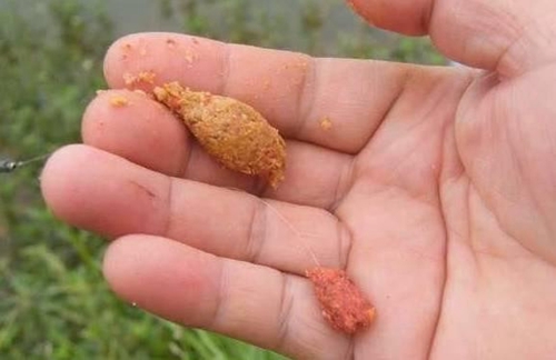 包食钓法钓翘嘴的技巧_WWW.YUJUCEPING.COM