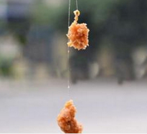 拉饵钓鱼不同大小鱼的注意事项_WWW.YUJUCEPING.COM