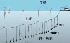 金枪鱼系统捕捞方法