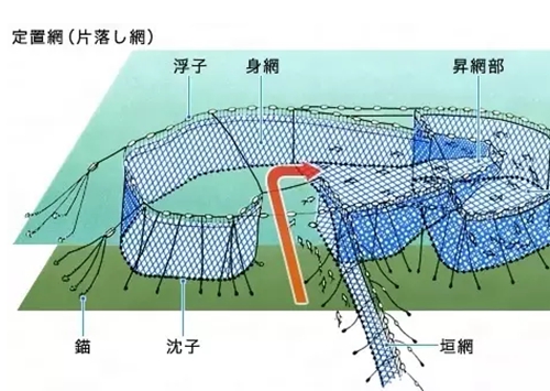 金枪鱼系统捕捞方法_WWW.YUJUCEPING.COM