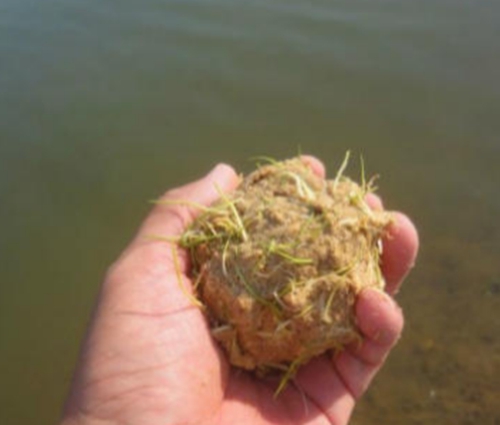 冬天江河湖库钓鲤鱼的策略_WWW.YUJUCEPING.COM
