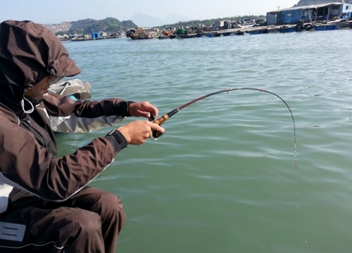 钓友分享十三种海钓方法_WWW.YUJUCEPING.COM