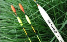 浅谈冬钓玩竞技池怎么掌握技巧