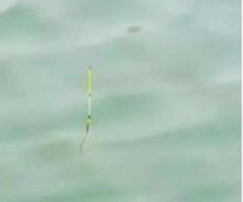 怎么选择枣核浮漂详解_WWW.YUJUCEPING.COM