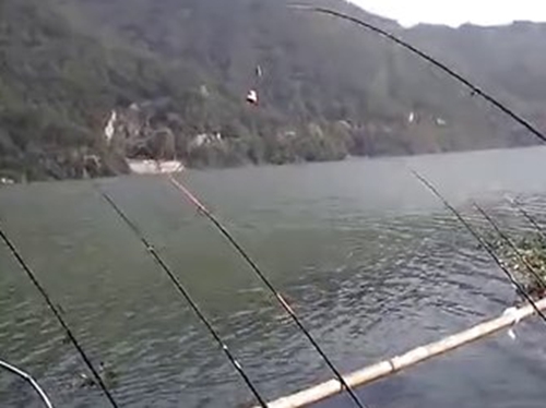 冬天江河海竿钓鲫鱼的技巧_WWW.YUJUCEPING.COM