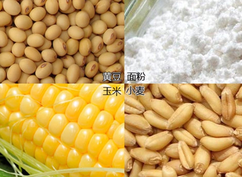 水库钓鱼玉米面饵料配方_WWW.YUJUCEPING.COM
