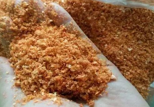 冬天钓鱼的用饵技巧探讨_WWW.YUJUCEPING.COM