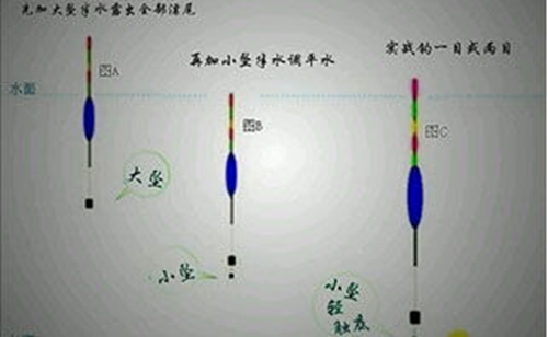冬钓鲫鱼草洞与双坠钓法_WWW.YUJUCEPING.COM