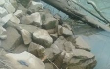 石鲮鱼钓点选择