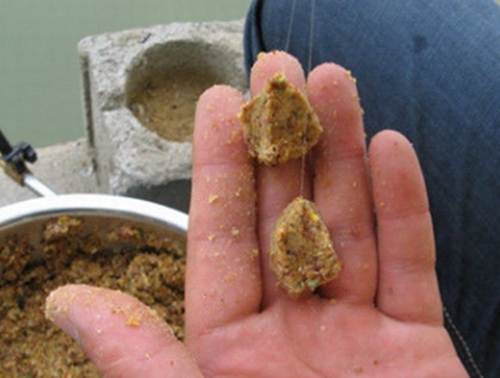 钓友分享自制红薯大麦膏_WWW.YUJUCEPING.COM