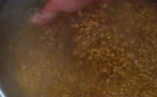 野钓窝料制作配方图解