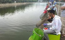 黑坑当中钓鲤鱼的方法
