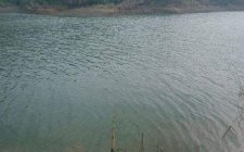大风天气钓鱼的钓点选择