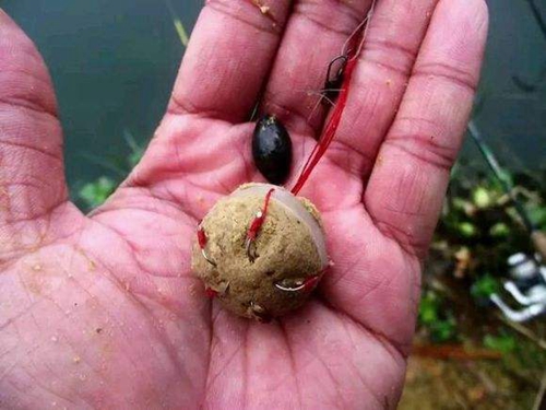 江河迴水湾手竿钓鱼的方法_WWW.YUJUCEPING.COM