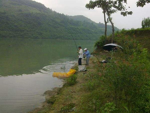 大风天气水库钓鱼的技巧_WWW.YUJUCEPING.COM